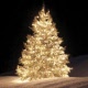 kerstlampjes-buiten